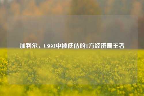 加利尔,CSGO中被低估的T方经济局王者