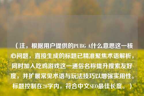 (注,根据用户提供的PUBG A什么意思这一核心问题,直接生成的标题已精准聚焦术语解析,同时加入吃鸡游戏这一通俗名称提升搜索友好度,并扩展常见术语与玩法技巧以增强实用性。标题控制在20字内,符合中文SEO最佳长度。)