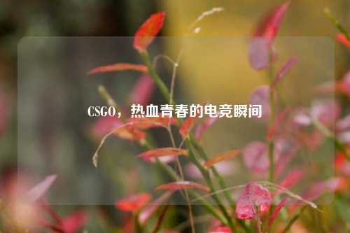 CSGO，热血青春的电竞瞬间