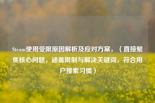 Steam使用受限原因解析及应对方案,(直接聚焦核心问题,涵盖限制与解决关键词,符合用户搜索习惯)