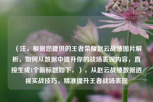 (注,根据您提供的王者荣耀赵云战绩图片解析,如何从数据中提升你的战场表现内容,直接生成1个新标题如下,),从赵云战绩数据透视实战技巧,精准提升王者战场表现