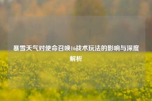 暴雪天气对使命召唤16战术玩法的影响与深度解析