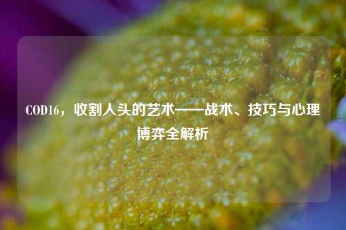 COD16,收割人头的艺术——战术、技巧与心理博弈全解析