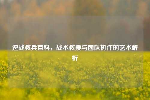 逆战救兵百科，战术救援与团队协作的艺术解析