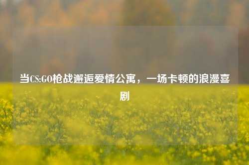 当CS:GO枪战邂逅爱情公寓,一场卡顿的浪漫喜剧