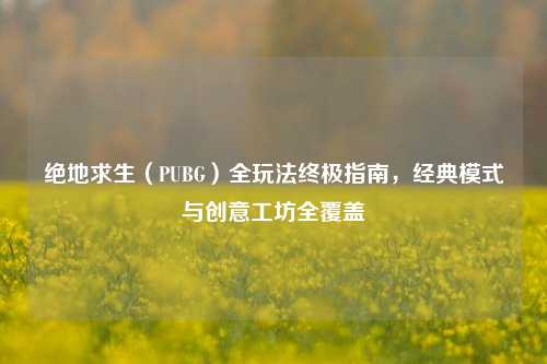 绝地求生（PUBG）全玩法终极指南，经典模式与创意工坊全覆盖