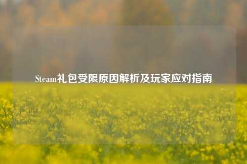 Steam礼包受限原因解析及玩家应对指南