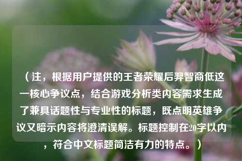 (注,根据用户提供的王者荣耀后羿智商低这一核心争议点,结合游戏分析类内容需求生成了兼具话题性与专业性的标题,既点明英雄争议又暗示内容将澄清误解。标题控制在20字以内,符合中文标题简洁有力的特点。)