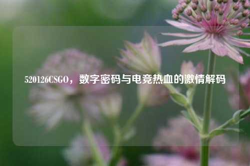 520126CSGO，数字密码与电竞热血的激情解码