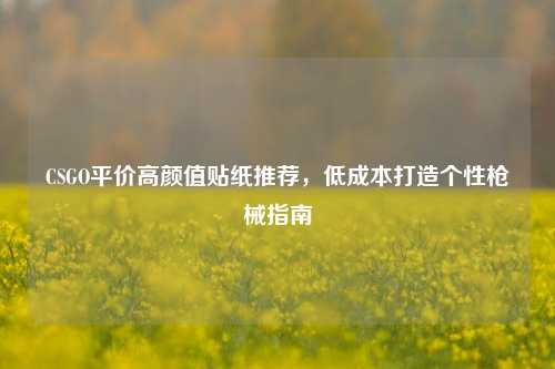 CSGO平价高颜值贴纸推荐,低成本打造个性枪械指南