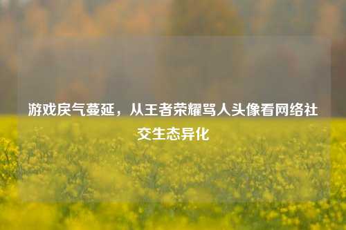 游戏戾气蔓延,从王者荣耀骂人头像看网络社交生态异化