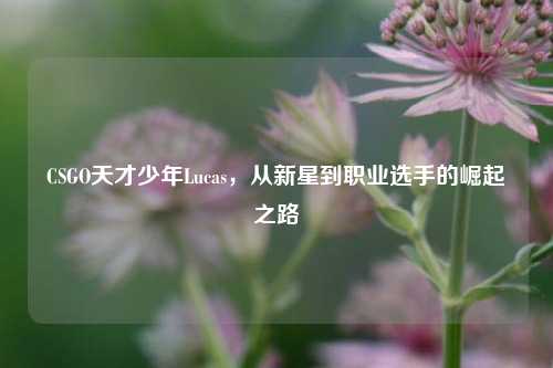CSGO天才少年Lucas，从新星到职业选手的崛起之路