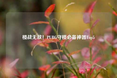 楼战无敌!PUBG守楼必备神器Top5