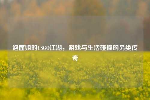 泡面姐的CSGO江湖，游戏与生活碰撞的另类传奇