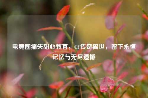 电竞圈痛失甜心教官,CF传奇离世,留下永恒记忆与无尽遗憾