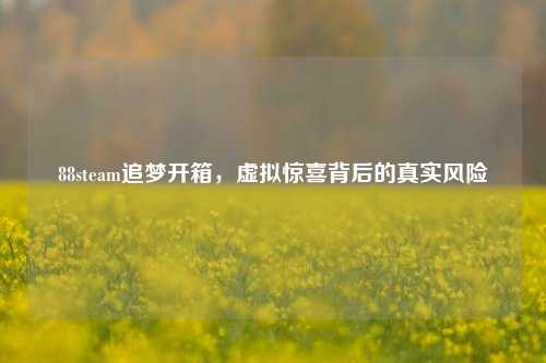 88steam追梦开箱，虚拟惊喜背后的真实风险