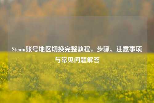 Steam账号地区切换完整教程,步骤、注意事项与常见问题解答