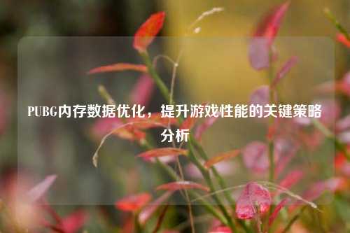 PUBG内存数据优化，提升游戏性能的关键策略分析