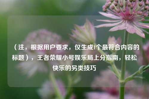 （注，根据用户要求，仅生成1个最符合内容的标题），王者荣耀小号娱乐局上分指南，轻松快乐的另类技巧