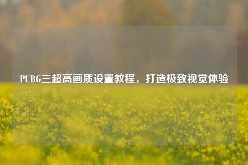 PUBG三超高画质设置教程，打造极致视觉体验