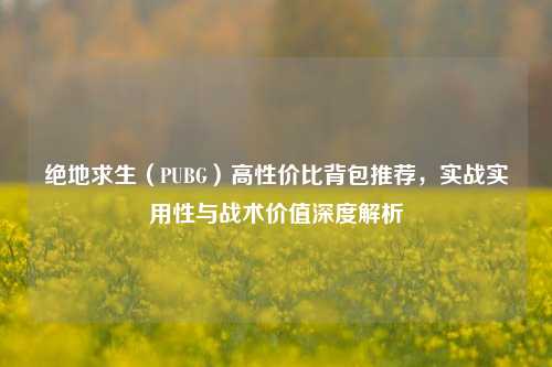 绝地求生(PUBG)高性价比背包推荐,实战实用性与战术价值深度解析