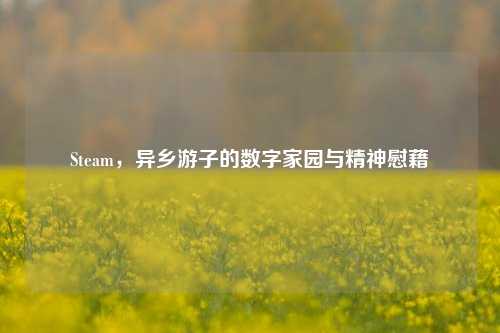 Steam,异乡游子的数字家园与精神慰藉