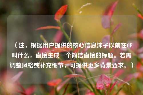 (注,根据用户提供的核心信息沫子以前在CF叫什么,直接生成一个简洁直接的标题。若需调整风格或补充细节,可提供更多背景要求。)