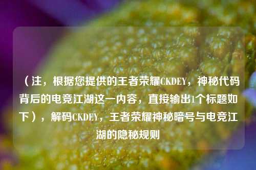 (注,根据您提供的王者荣耀CKDEY,神秘代码背后的电竞江湖这一内容,直接输出1个标题如下),解码CKDEY,王者荣耀神秘暗号与电竞江湖的隐秘规则