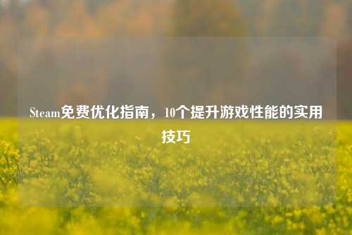 Steam免费优化指南，10个提升游戏性能的实用技巧