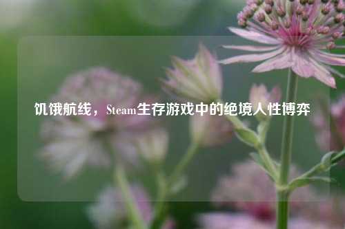 饥饿航线,Steam生存游戏中的绝境人性博弈
