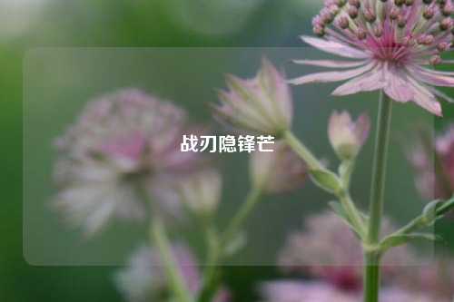 战刃隐锋芒