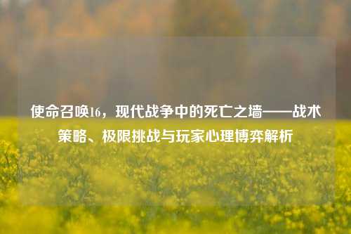 使命召唤16，现代战争中的死亡之墙——战术策略、极限挑战与玩家心理博弈解析
