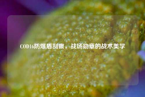 COD16防爆盾刮痕,战场勋章的战术美学