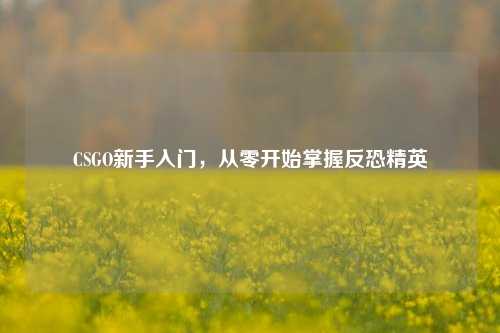 CSGO新手入门，从零开始掌握反恐精英