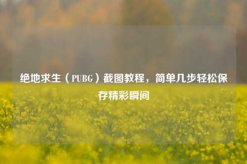 绝地求生（PUBG）截图教程，简单几步轻松保存精彩瞬间