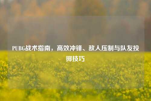 PUBG战术指南，高效冲锋、敌人压制与队友投掷技巧