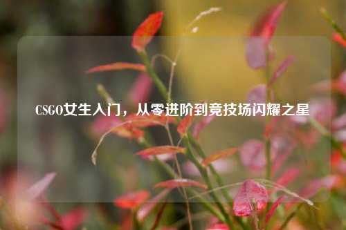 CSGO女生入门，从零进阶到竞技场闪耀之星