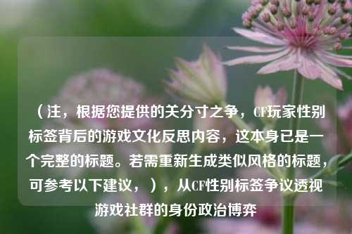 （注，根据您提供的关分寸之争，CF玩家性别标签背后的游戏文化反思内容，这本身已是一个完整的标题。若需重新生成类似风格的标题，可参考以下建议，），从CF性别标签争议透视游戏社群的身份政治博弈