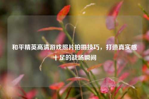 和平精英高清游戏照片拍摄技巧,打造真实感十足的战场瞬间