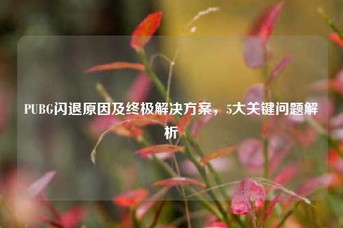 PUBG闪退原因及终极解决方案,5大关键问题解析