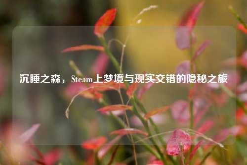 沉睡之森,Steam上梦境与现实交错的隐秘之旅