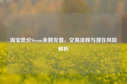 淘宝低价Steam余额充值，交易流程与潜在风险解析