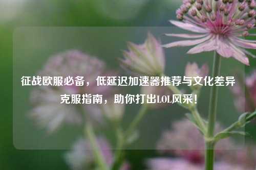 征战欧服必备,低延迟加速器推荐与文化差异克服指南,助你打出LOL风采!