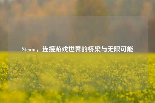Steam,连接游戏世界的桥梁与无限可能