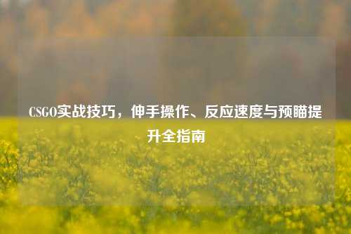 CSGO实战技巧，伸手操作、反应速度与预瞄提升全指南