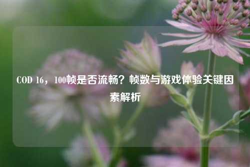 COD 16，100帧是否流畅？帧数与游戏体验关键因素解析