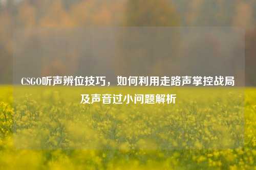 CSGO听声辨位技巧,如何利用走路声掌控战局及声音过小问题解析
