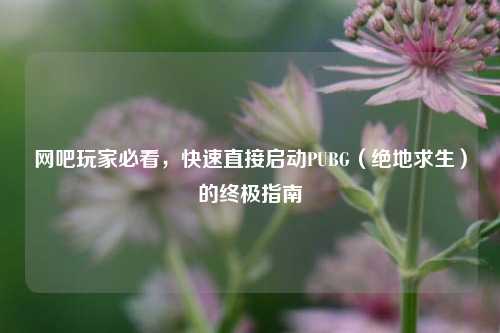 网吧玩家必看，快速直接启动PUBG（绝地求生）的终极指南