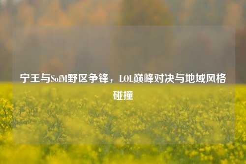 宁王与SofM野区争锋,LOL巅峰对决与地域风格碰撞