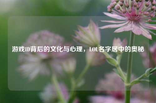 游戏ID背后的文化与心理，LOL名字居中的奥秘